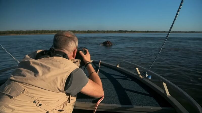 Hippos Of The Zambezi _ David Yarrow Photography