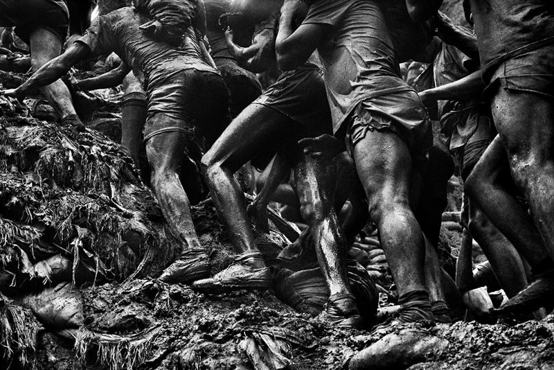 Sebastião Salgado Activism Through Art